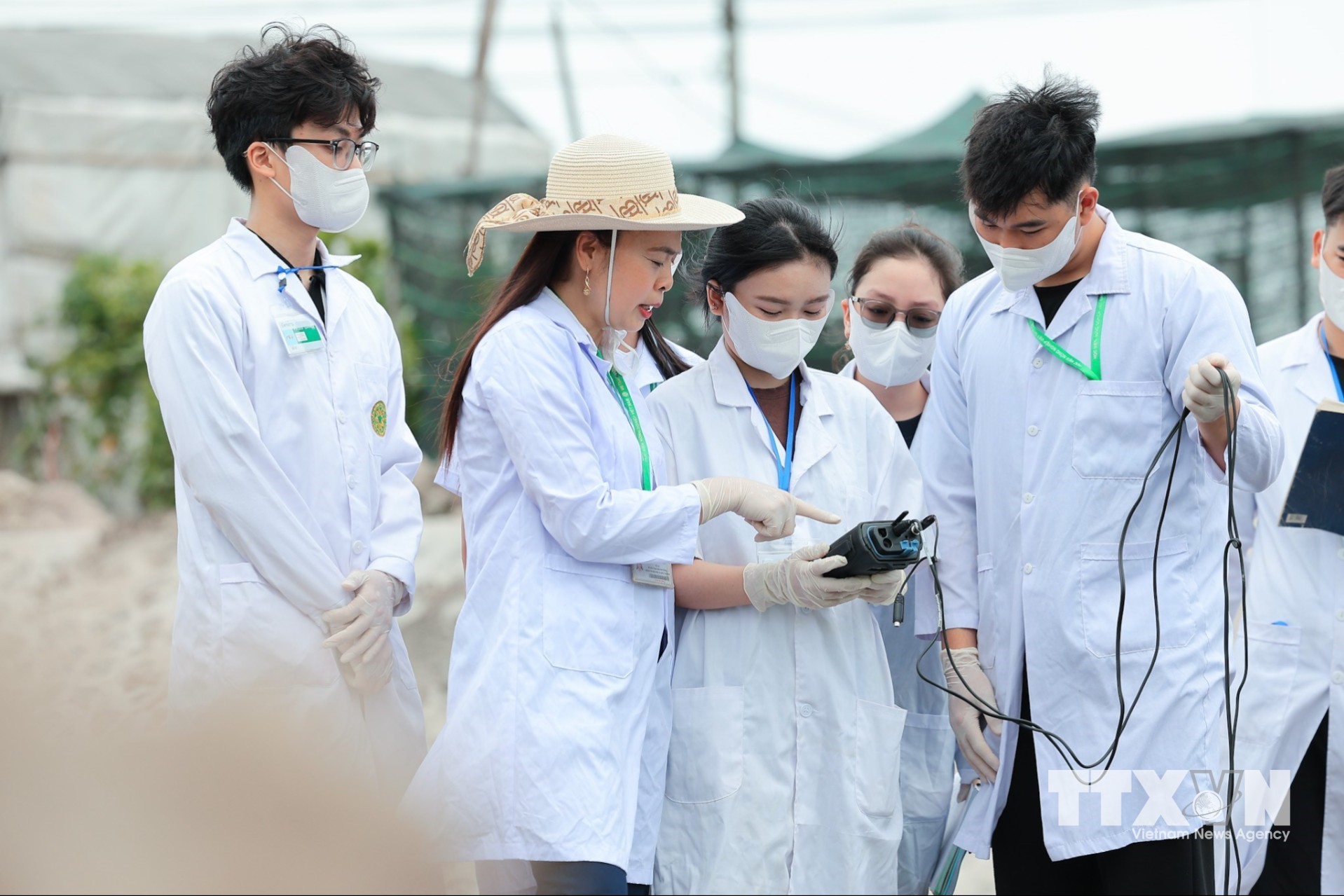 Sinh viên Khoa Tài nguyên và môi trường thực hành khảo sát thực địa, trực tiếp lấy mẫu và đo đạc chất lượng nước, gắn lý thuyết với thực tiễn trong quá trình học tập. (Ảnh: Lê Đông/TTXVN)